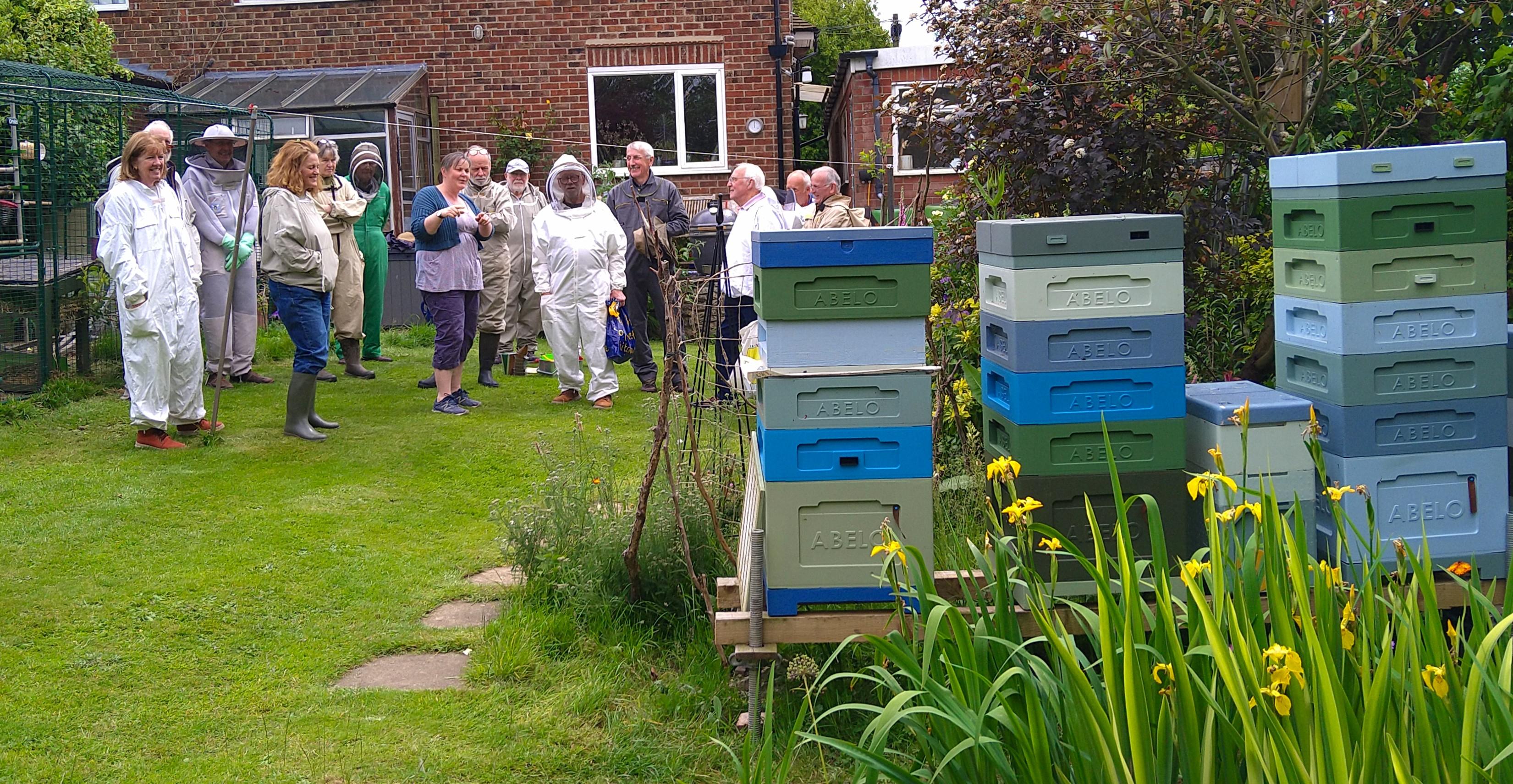 Bees