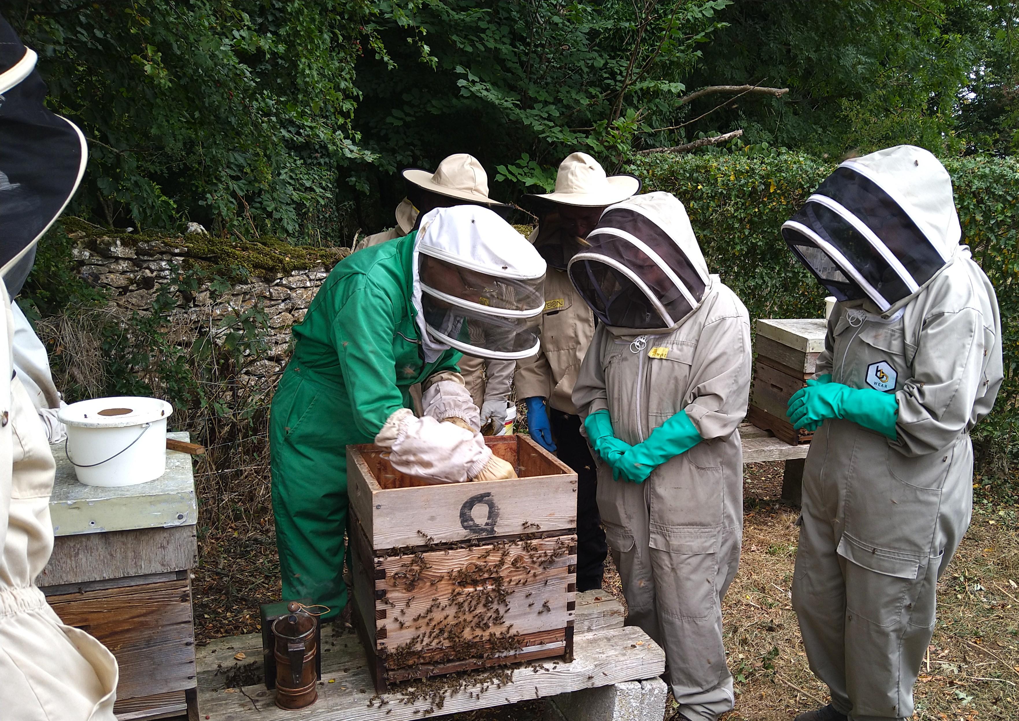 Bees