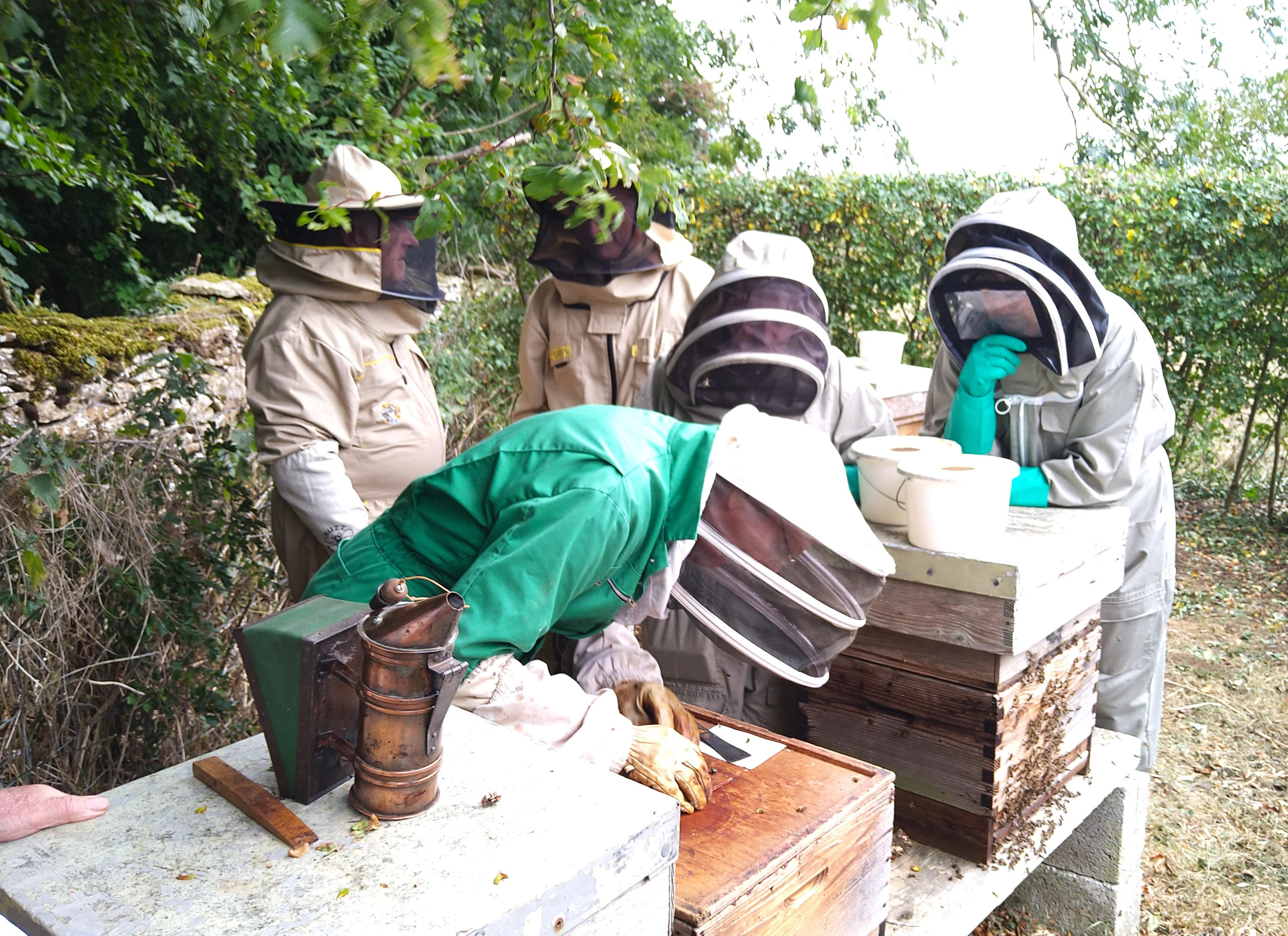 Bees