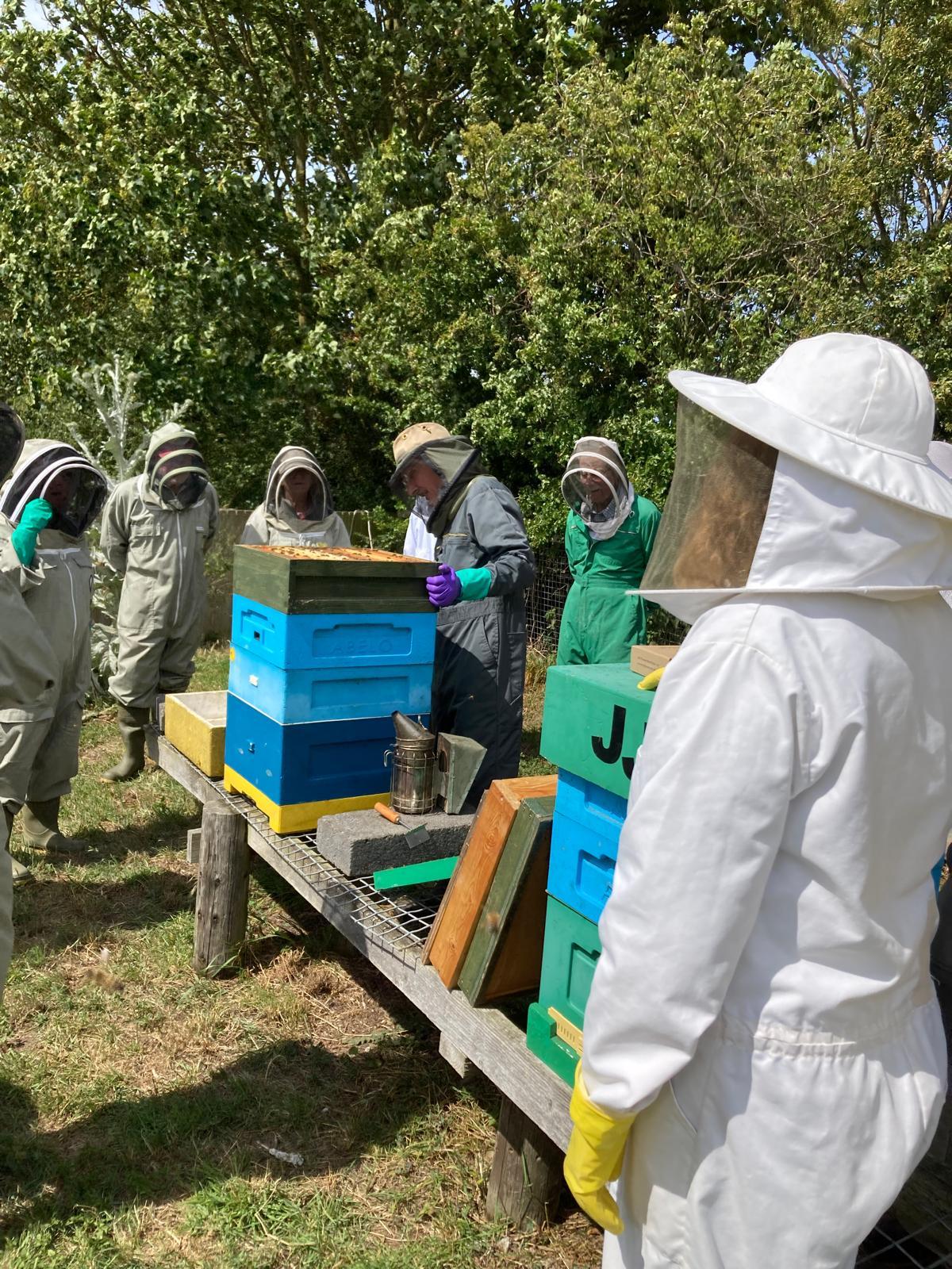 Bees